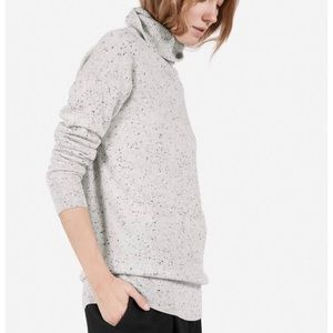 Everlane Cashmere Turtleneck